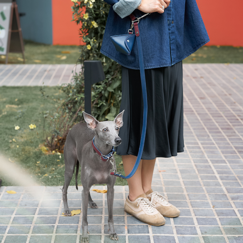 Rosette Hands-Free Dog Leash