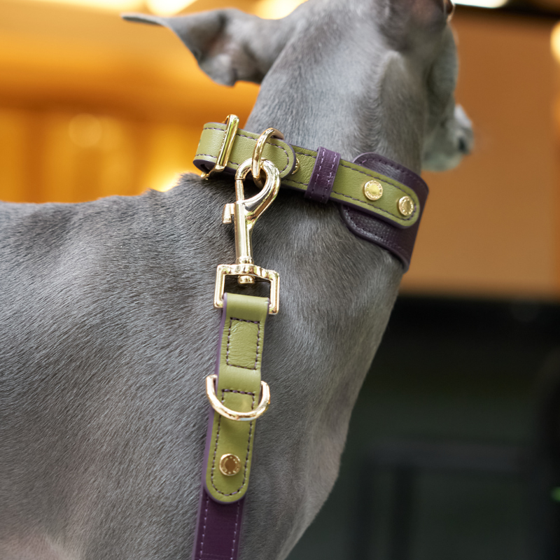 Purrble Hands-Free Dog Leash