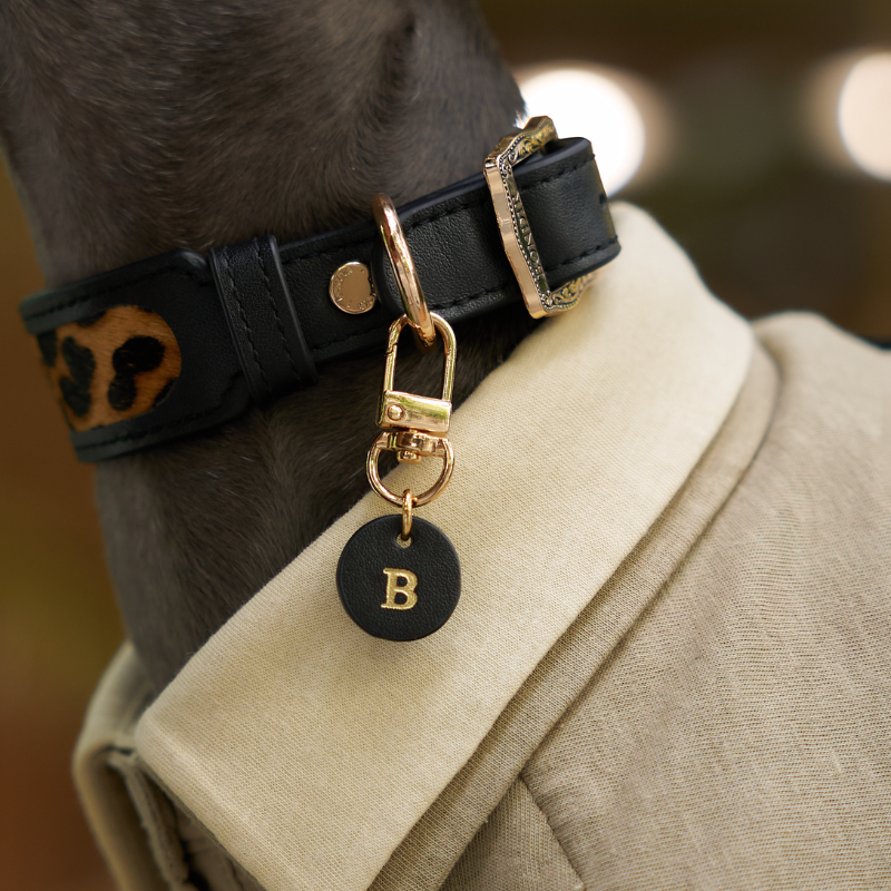 Wide Oak Pony Hair Dog Collar