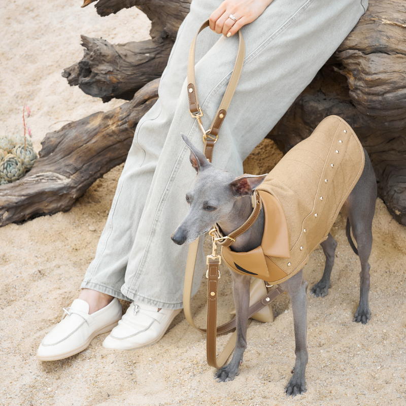 Palais Hands-Free Dog Leash