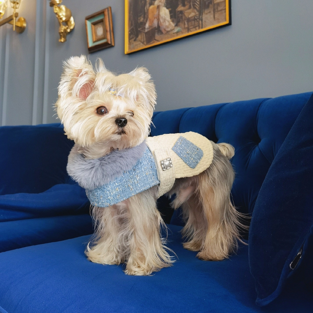 Modern Cinderella Coat