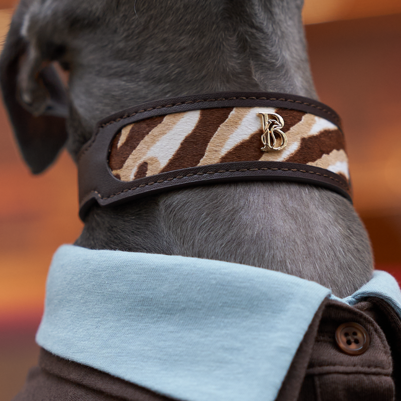 Zambezi Pony Hair Dog Collar