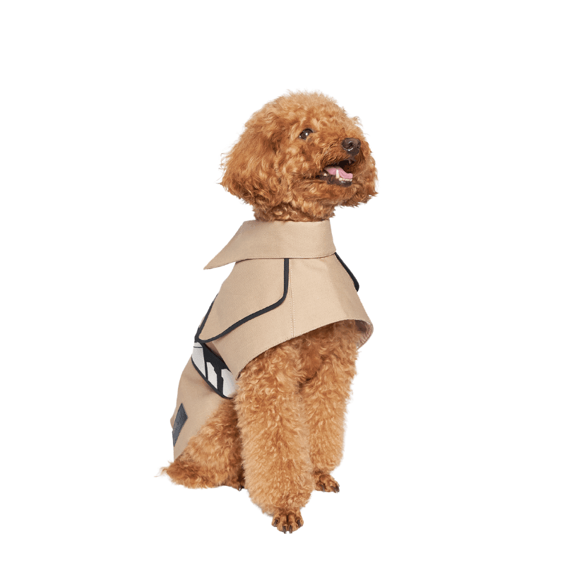 Obine Trench Coat - BONDIR