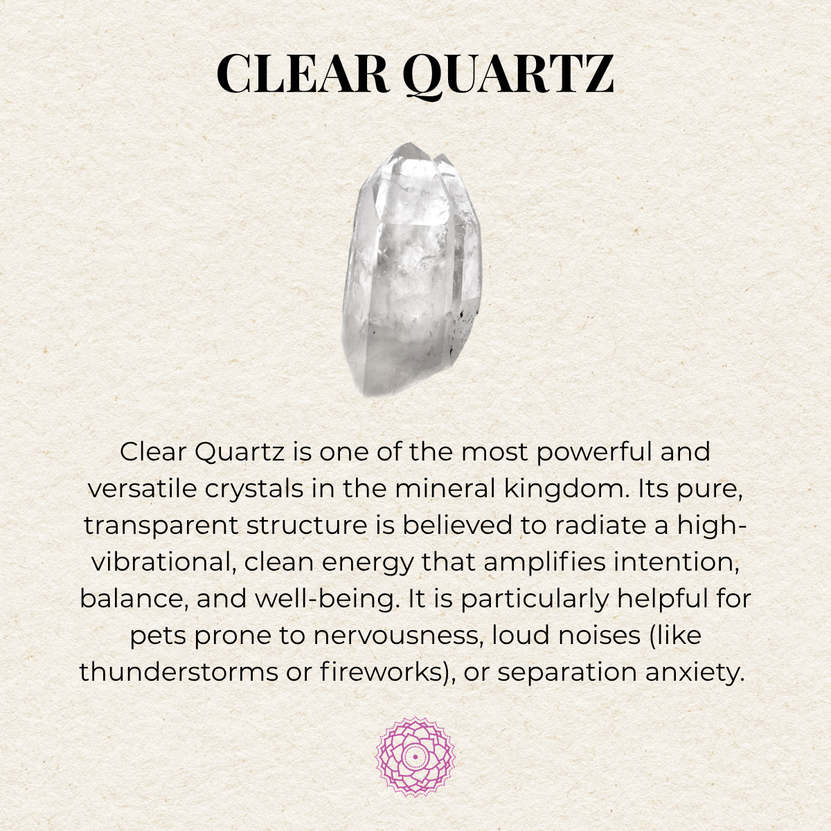 Oasis Pet Crystal Necklace