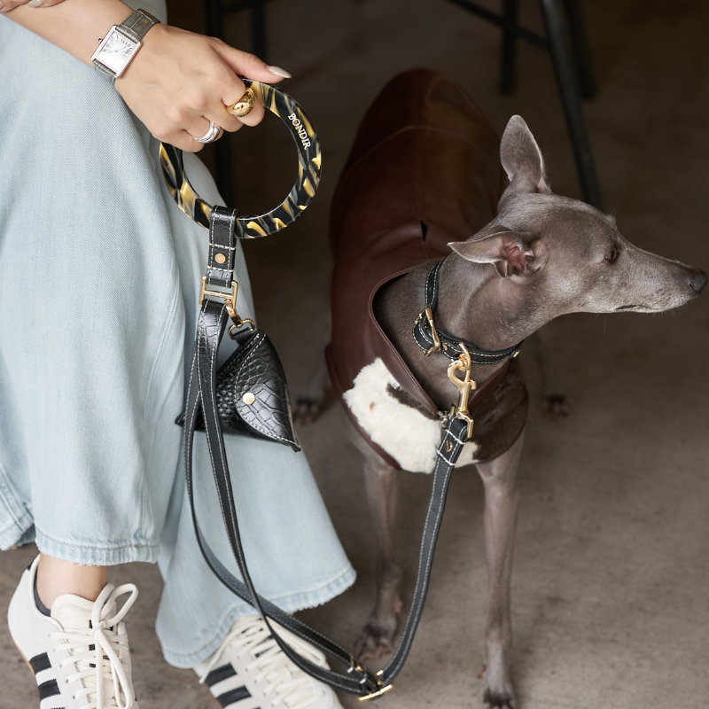 Obsidian Leather Dog Leash