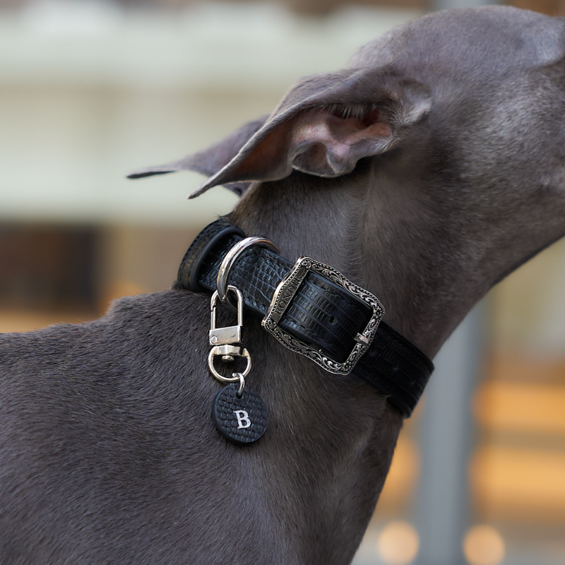Jungle Fleck Pony Hair Dog Collar