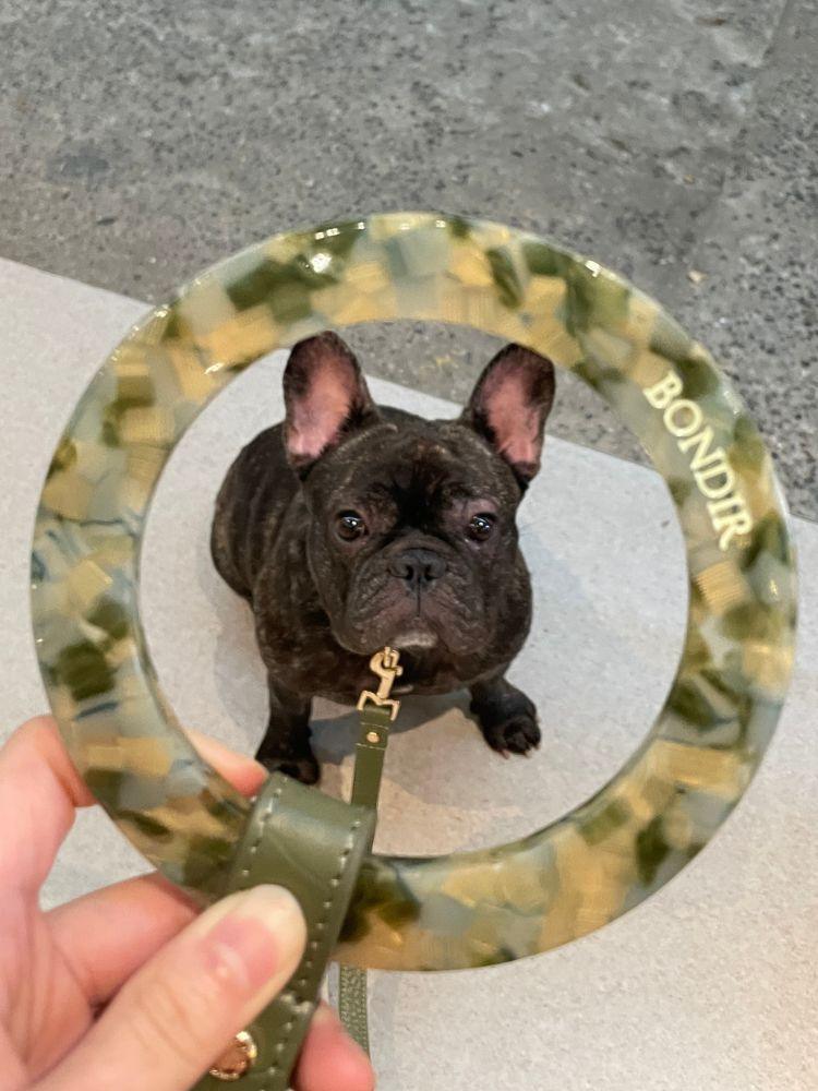 Emerald Leather Dog Leash - BONDIR