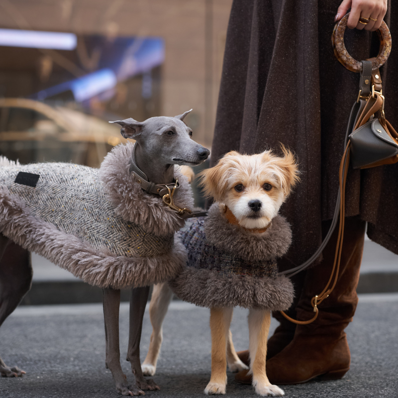 Sand Leather Dog Leash