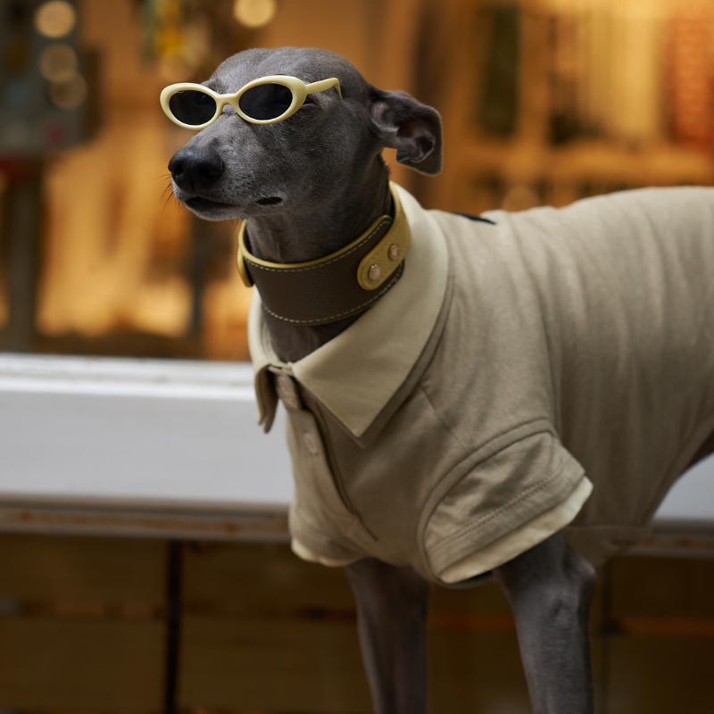 Pistachio Double Layer Dog Polo