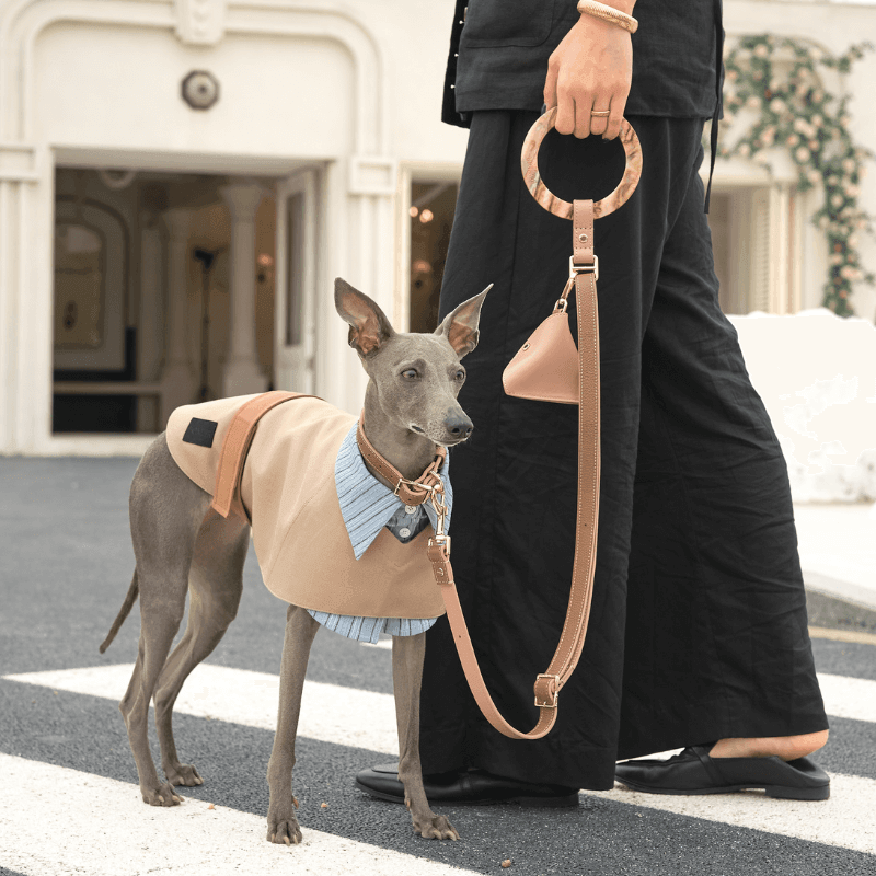 Blushwood Leather Dog Leash - BONDIR