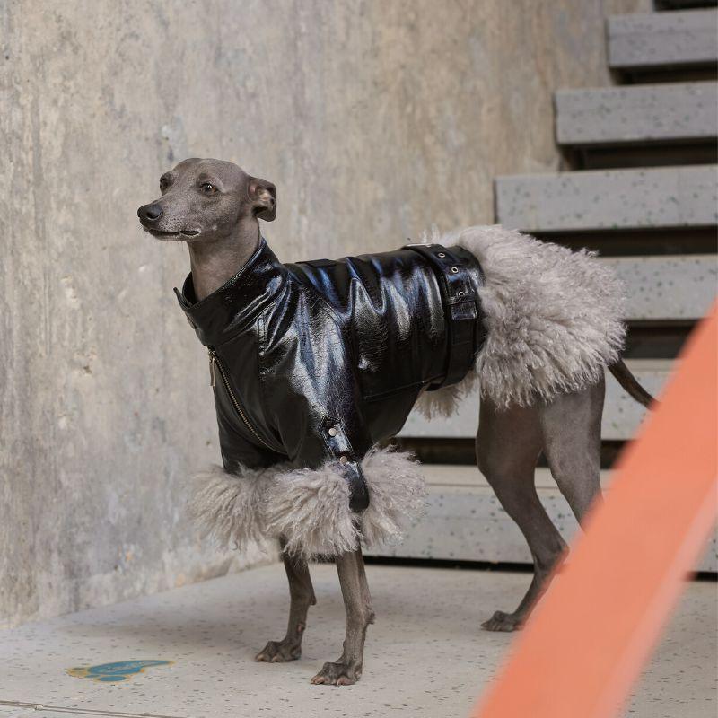 MinkÉlite Fur Jacket – BONDIR