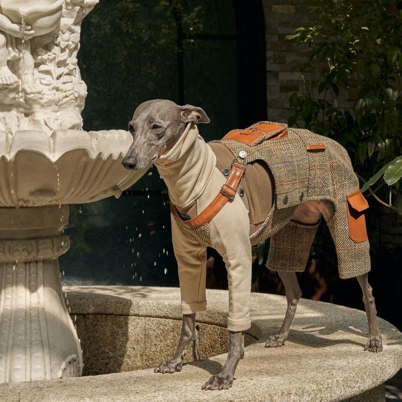 BONDIR VELLURE OVERALL R3 (M) 小型犬　レザー BONDIR VELLURE OVERALL R3 (M) 小型犬レザー