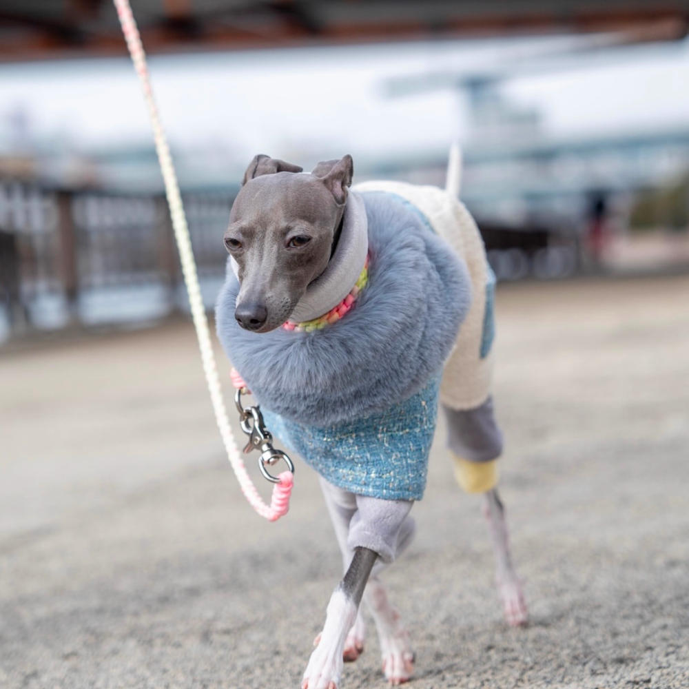 Modern Cinderella Coat