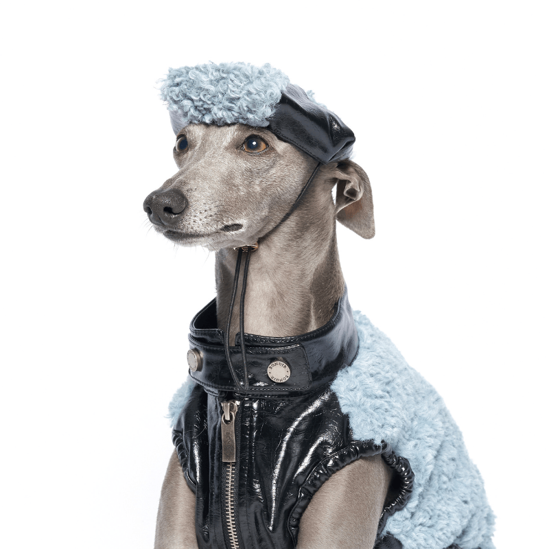 Oceania Dog Beret