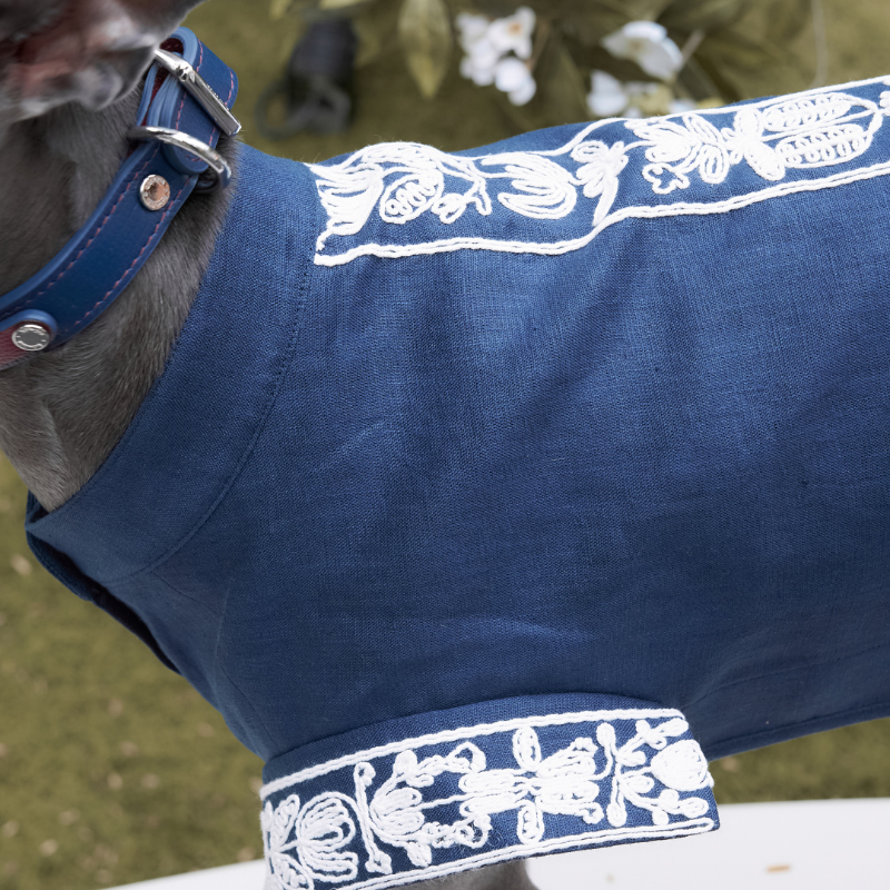 Metis Embroidered Linen Shirt