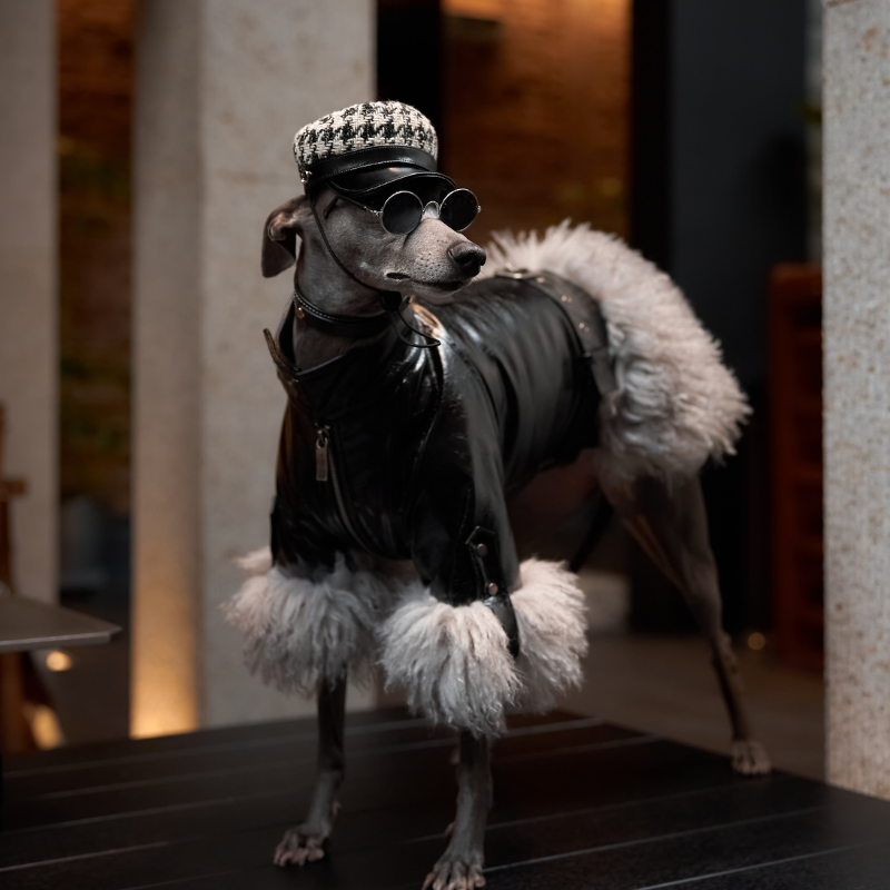 MinkÉlite Fur Jacket