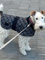 Blurred Vision Coat - BONDIR