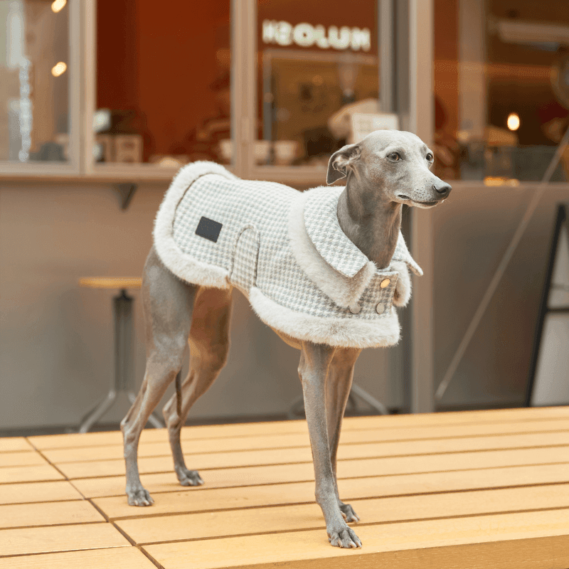 Evergreen Double Collar Coat - BONDIR