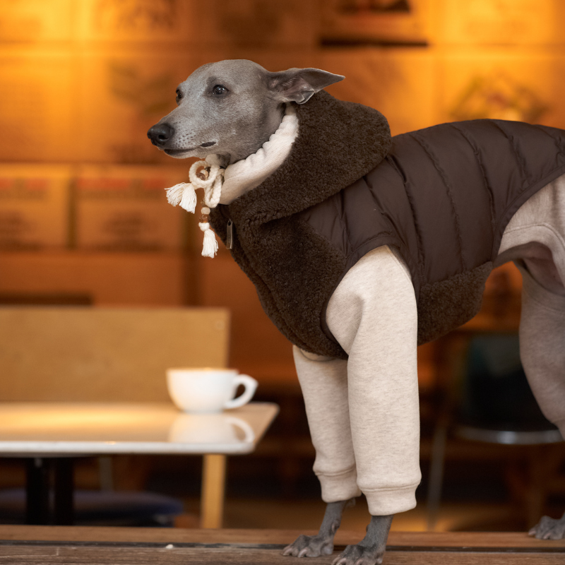 Buy Fleece Dog Sweater | Warm Dog Sweaters Online