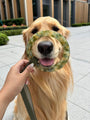 Emerald Leather Dog Leash - BONDIR