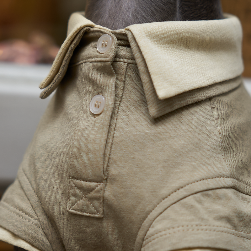 Pistachio Double Layer Dog Polo
