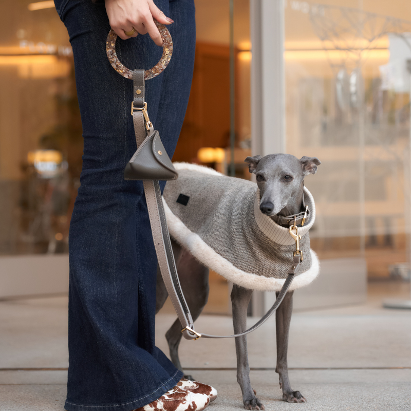 Sand Leather Dog Leash