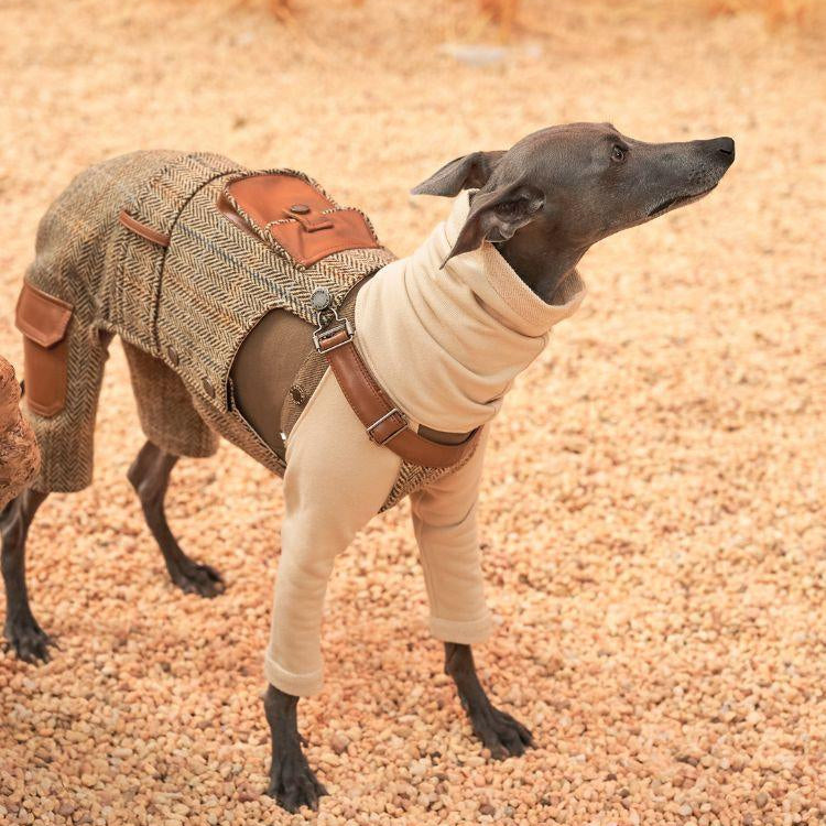 dog gear overall Luxury Denim Dog Overall