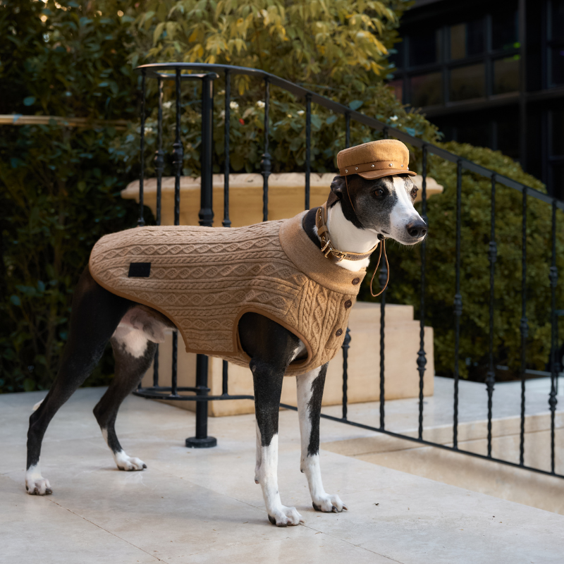 Bruma Ribbed Knit Vest