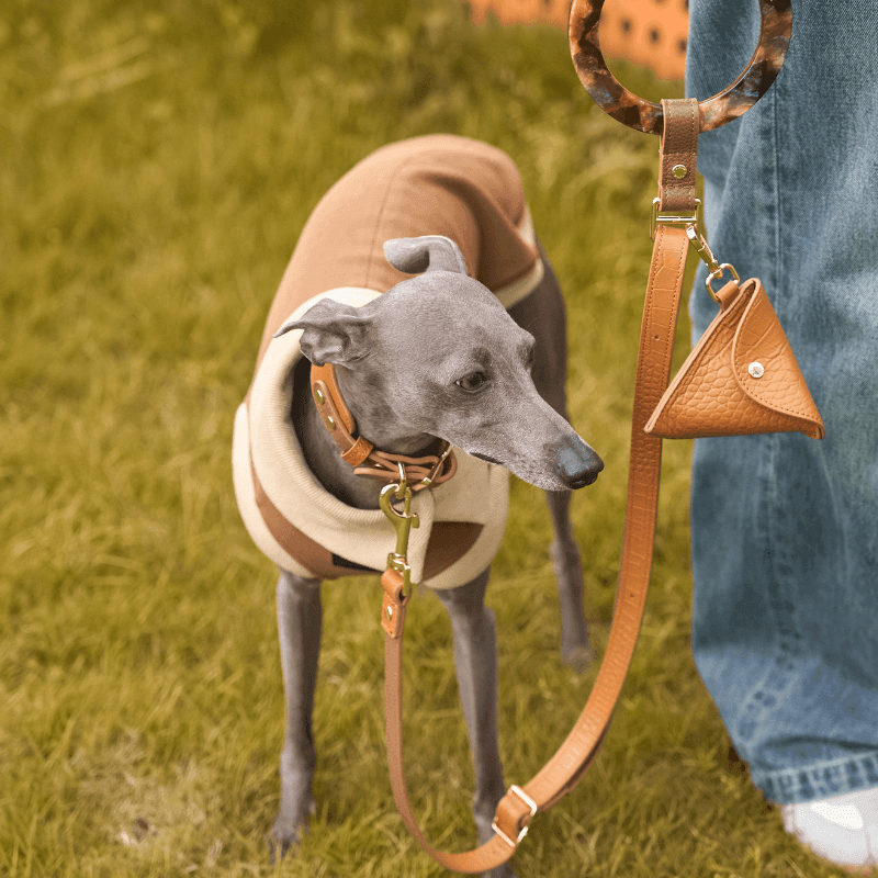 Amber Leather Collar - BONDIR