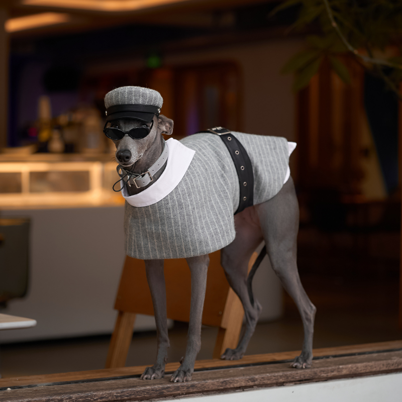 Riverton Pinstriped Wool Coat