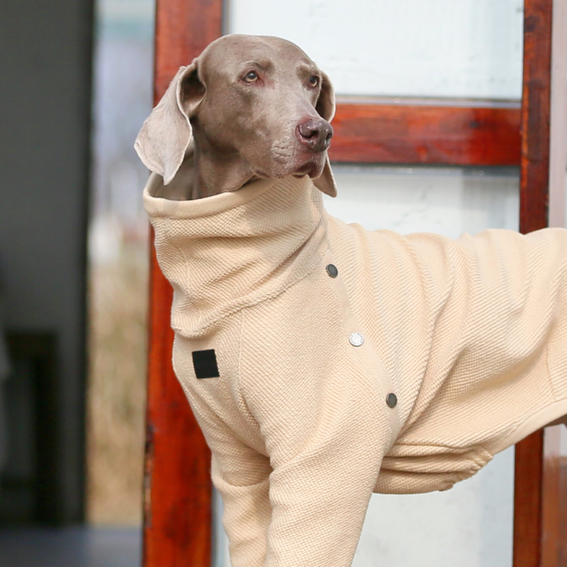 Shop Luxury Comfort Sweater for Dogs