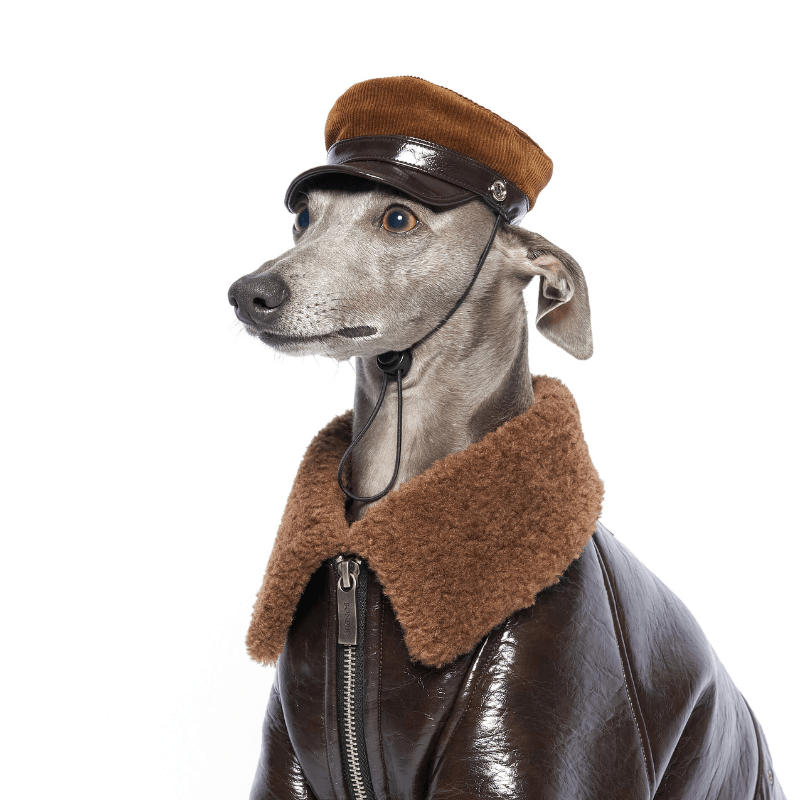 Woodland Dog Hat