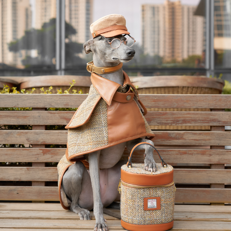 Vellure Trench Coat