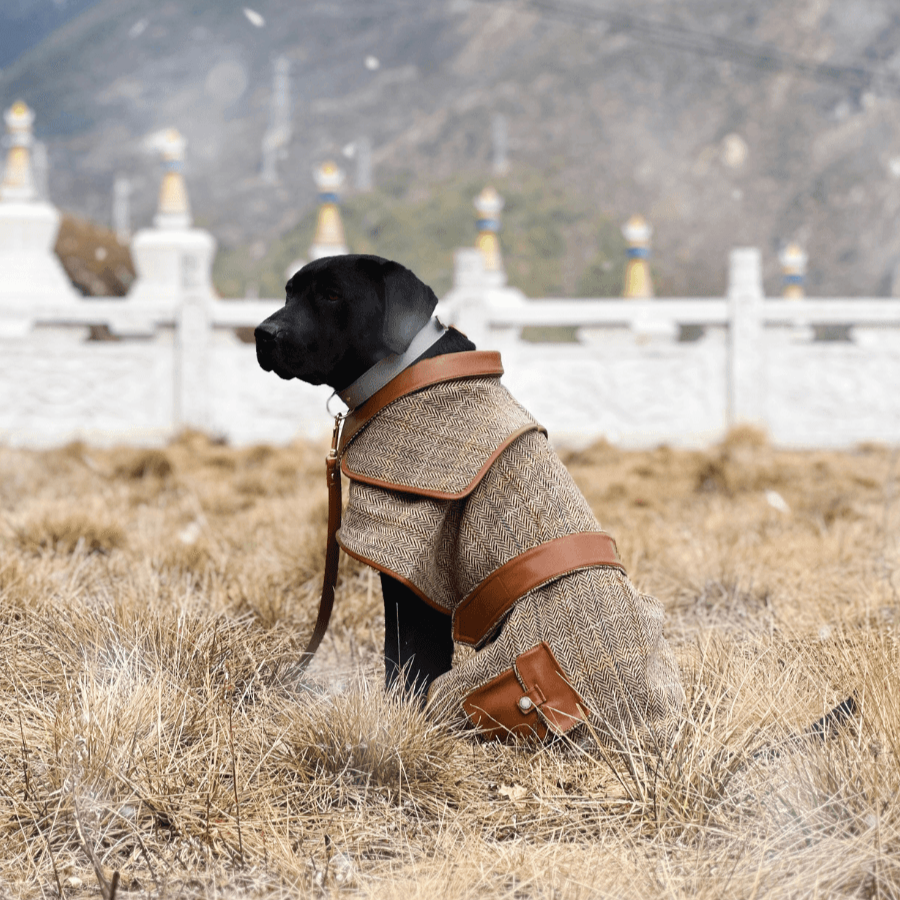 Dog Leash Burberry Dog Coat Jackets In A Trench Coat For Dogs