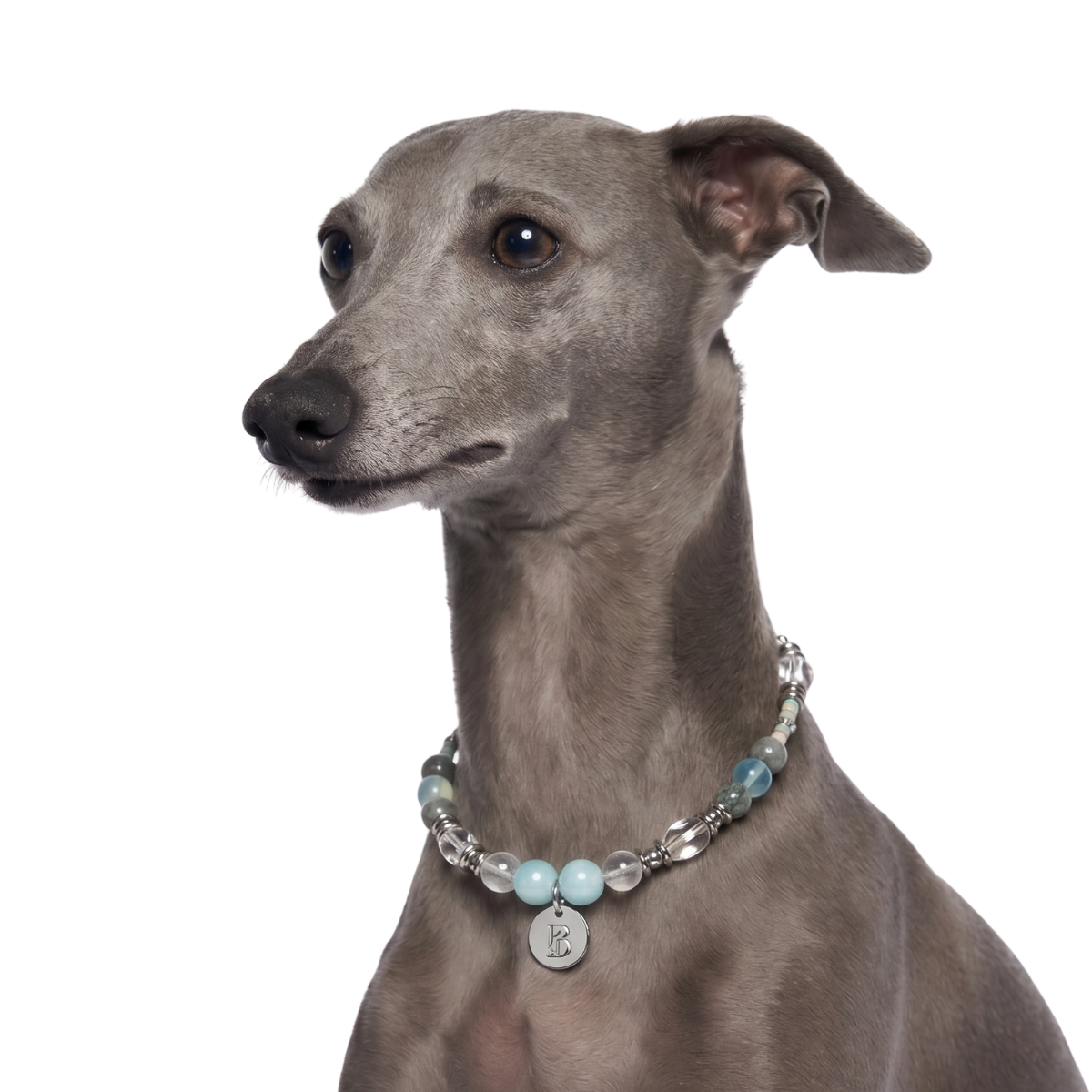 Lumiere Pet Crystal Necklace