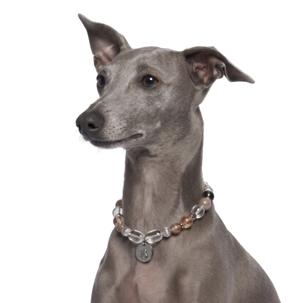 Oasis Pet Crystal Necklace
