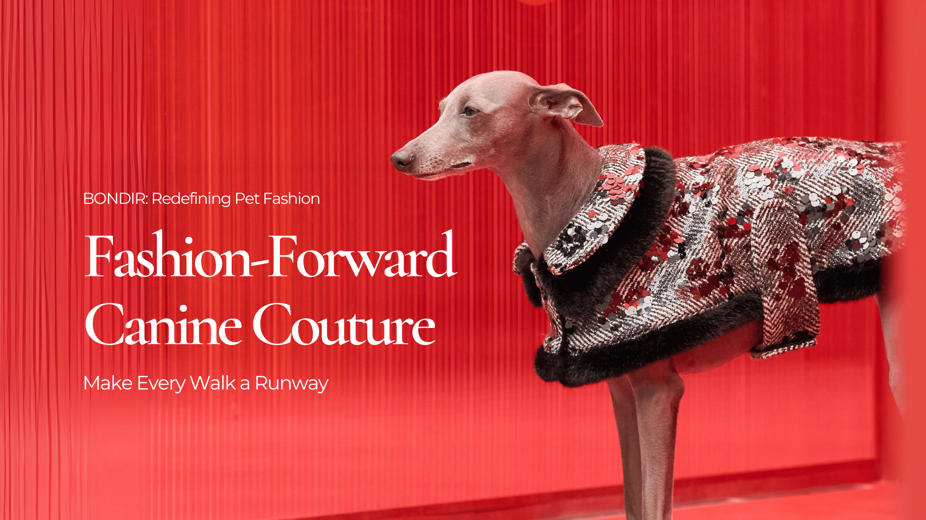 Shop Pet Clothes Dog Fashion Coats Accessories Bondir