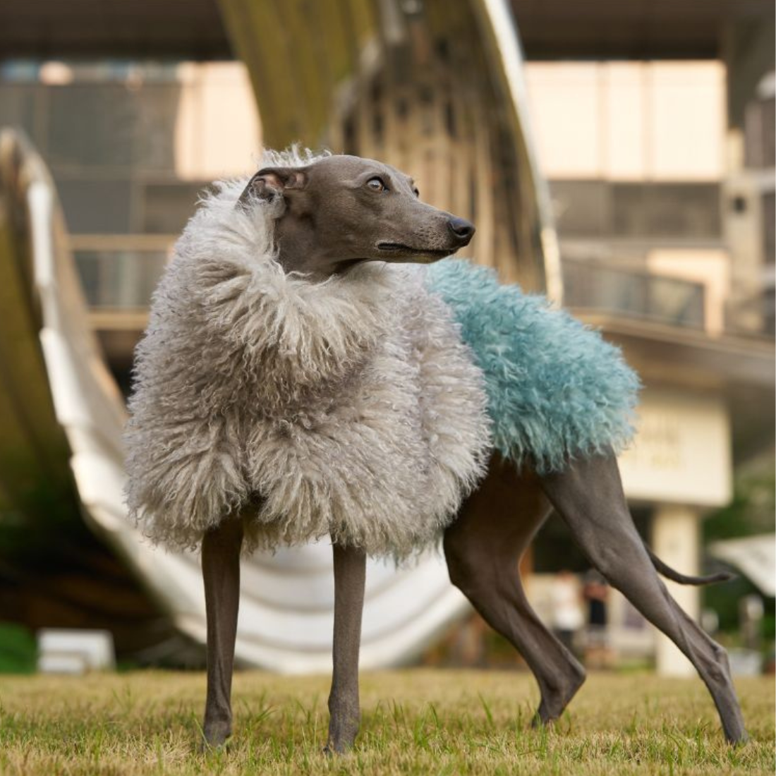 Bleu Saphire Fur Coat