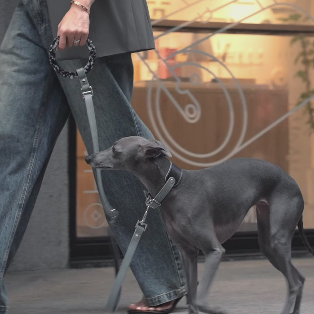 BONDIR | Premium Dog Fashion Brand