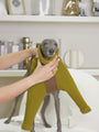 Mossy Teddy Fleece Sweater