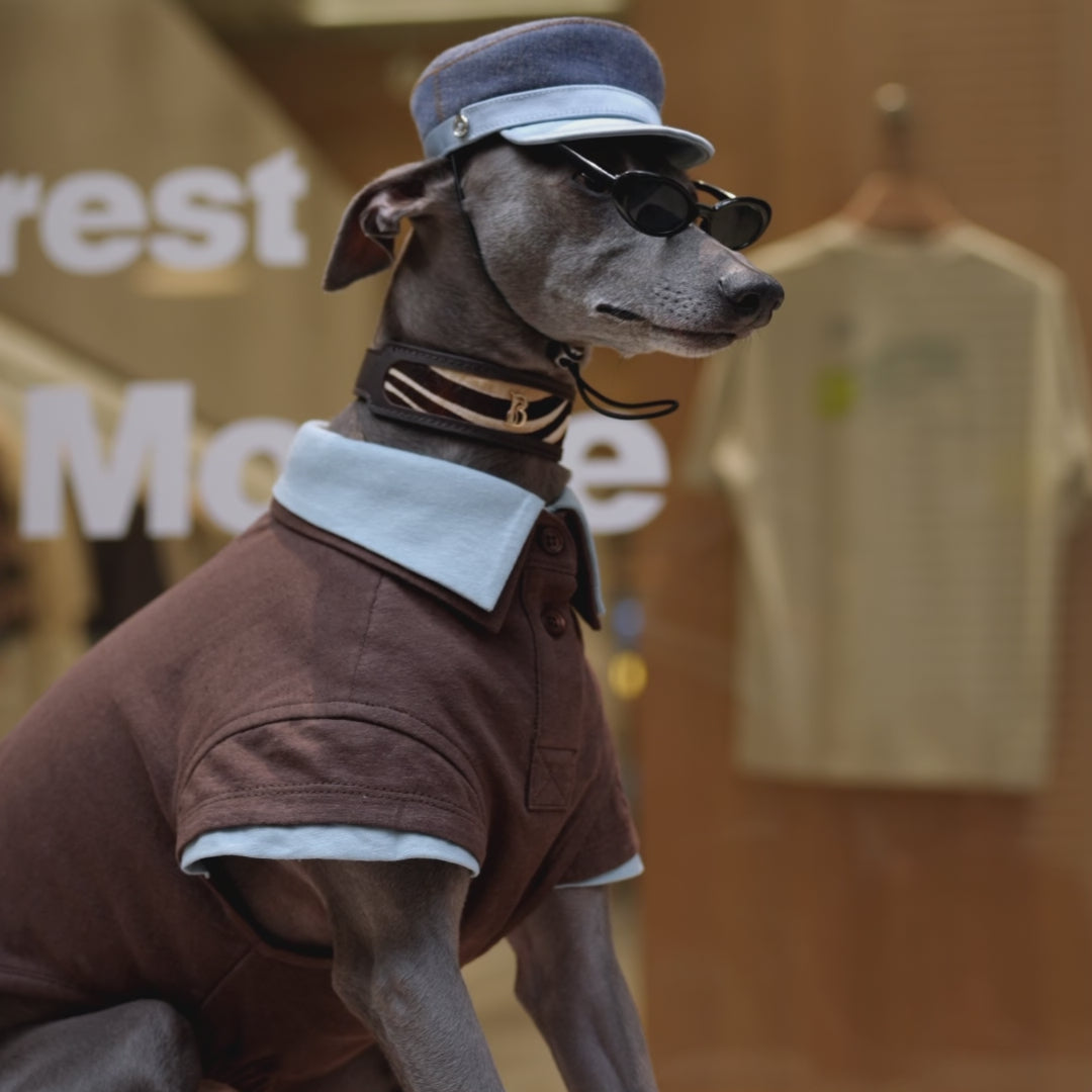 Stylish Dog Polo Shirts - BONDIR