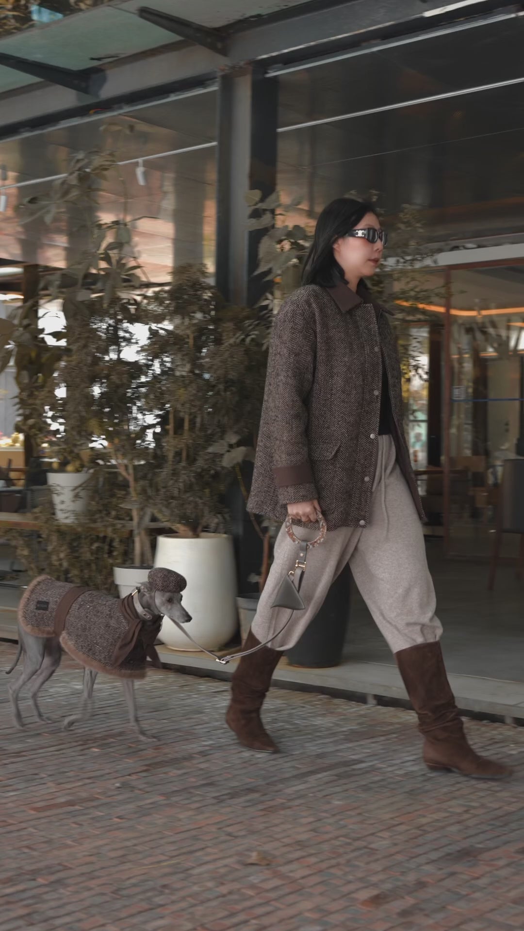 ファッショナブルな大型犬&子犬の服 |防水ジャケット - BONDIR