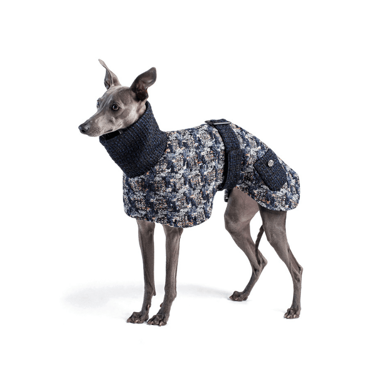 Blurred Vision Coat - BONDIR
